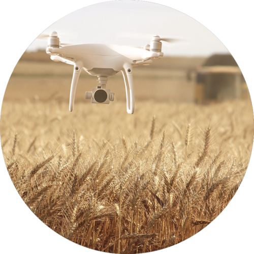 Especialización:  Agroforestal con drones